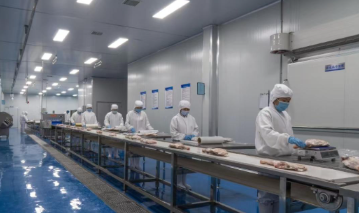 盐池：&ldquo;订单收购+政府补贴&rdquo;为滩羊产业保驾护航