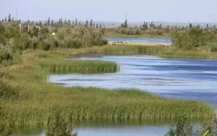 盐池县建立共管共护共治&ldquo;河湖圈&rdquo; 