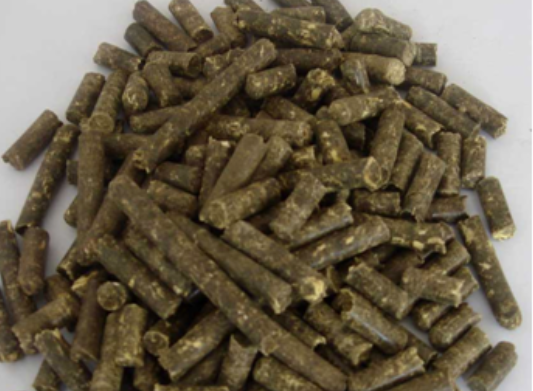 柠条生物发酵技术&ldquo;解锁&rdquo;新型饲料资源