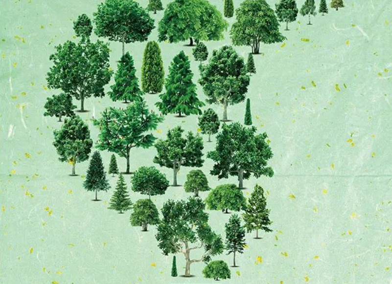 公益广告 | 中国梦唱响绿色旋律