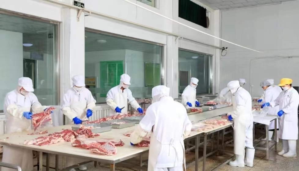 106.82亿元！盐池滩羊肉品牌价值位列全国区域品牌第31位