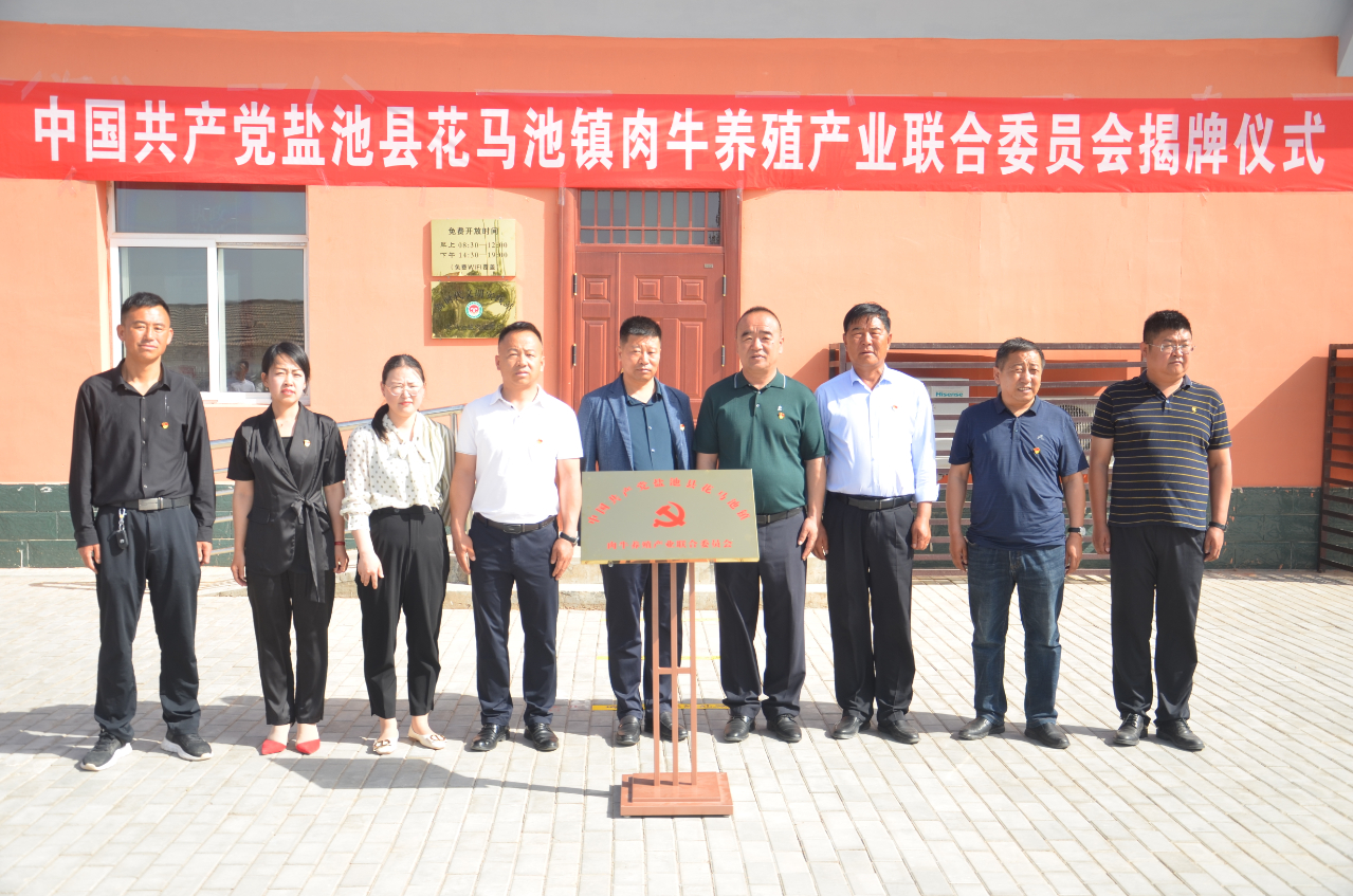 花马池镇成立盐池县首个村级联合党委