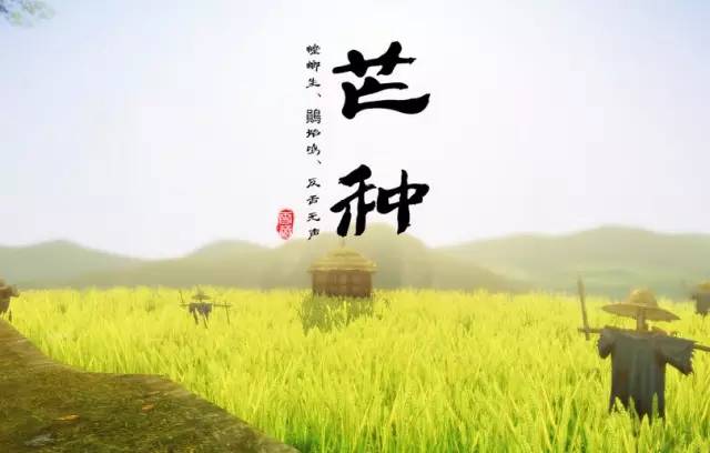 二十四节气 |今日芒种