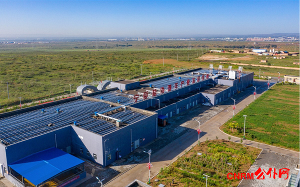 宁夏盐池县通过&ldquo;中国生态食材（盐池滩羊）之都&rdquo;评审