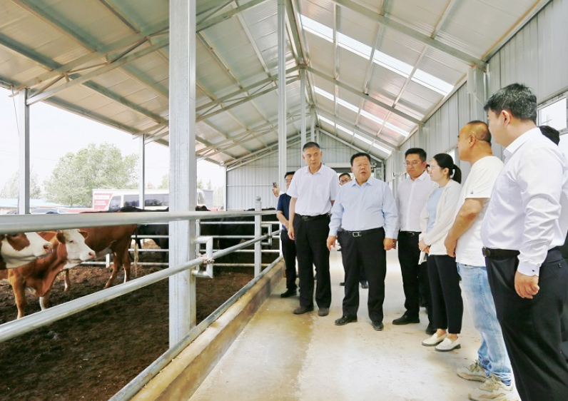 宁夏盐池：央企助力构建乡村振兴新格局