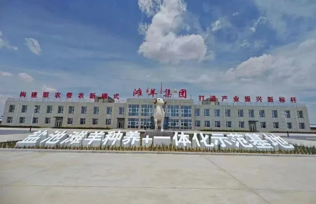 获38项荣誉称号 品牌价值达106.82亿元 盐池滩羊产业&ldquo;链&rdquo;式发展向高端化延伸