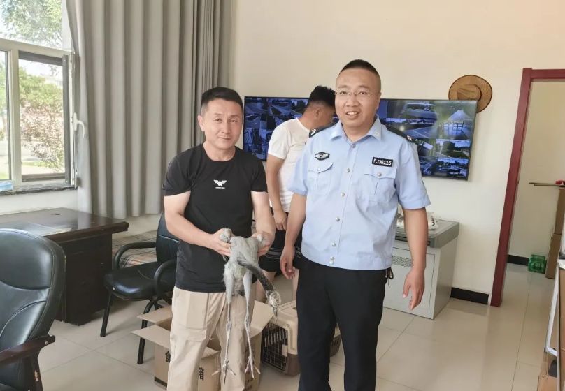 &ldquo;萌&rdquo;禽灰鹤落单 警民携手救助