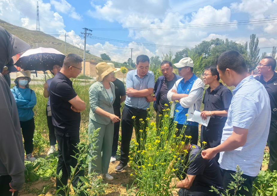 盐池县邀请专家学者走进田间地头把脉支招共促乡村振兴