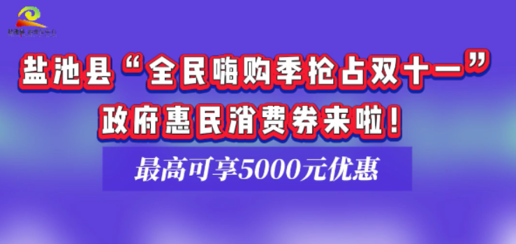 盐池县“全民嗨购季抢占双十一”政府惠民消费券来啦！最高可享5000元优惠