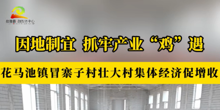 因地制宜  抓牢产业“鸡”遇——花马池镇冒寨子村壮大村集体经济促增收