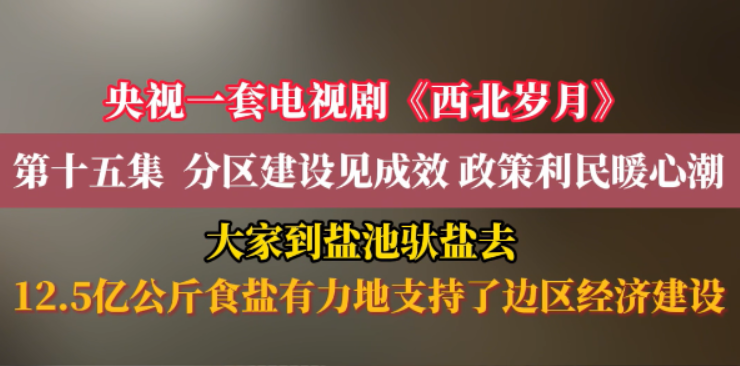 央视一套电视剧《西北岁月》第十五集  分区建设见成效 政策利民暖心潮 大家到盐池驮盐去 12.5亿公斤食盐有力地支持了边区经济建设