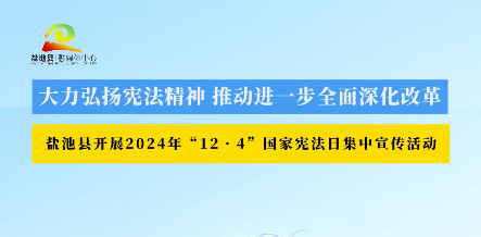 大力弘扬宪法精神 推动进一步全面深化改革 盐池县开展2024年“12•4”国家宪法日集中宣传活动