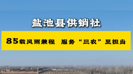 盐池县供销社  85载风雨兼程   服务“三农”显担当
