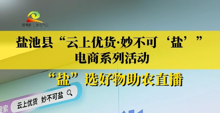 盐池县“云上优货·妙不可‘盐’”电商系列活动 “盐”选好物助农直播