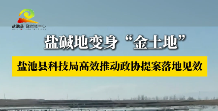 盐碱地变身“金土地” 盐池县科技局高效推动政协提案落地见效 