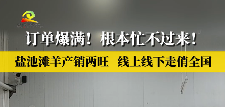 订单爆满！根本忙不过来！盐池滩羊产销两旺 线上线下走俏全国