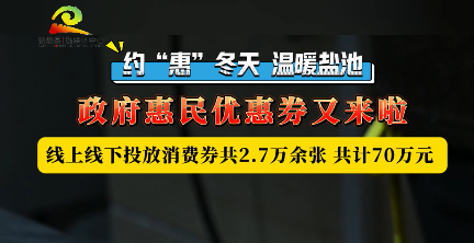 约“惠”冬天 温暖盐池 政府惠民优惠券又来啦 线上线下投放消费券共2.7万余张 共计70万元