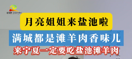 月亮姐姐来盐池啦  来宁夏一定要吃盐池滩羊肉