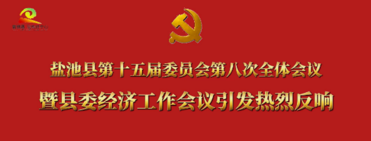 盐池县第十五届委员会第八次全体会议 暨县委经济工作会议引发热烈反响