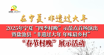 新春走基层 || 2025年宁夏“四季村晚”示范点首场演出暨盐池县“非遗过大年 年味最乡村”春节村晚展示活动