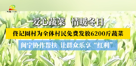 爱心蔬菜   情暖冬日  佟记圈村为全体村民免费发放6200斤蔬菜  闽宁协作帮扶  让群众乐享“红利”  