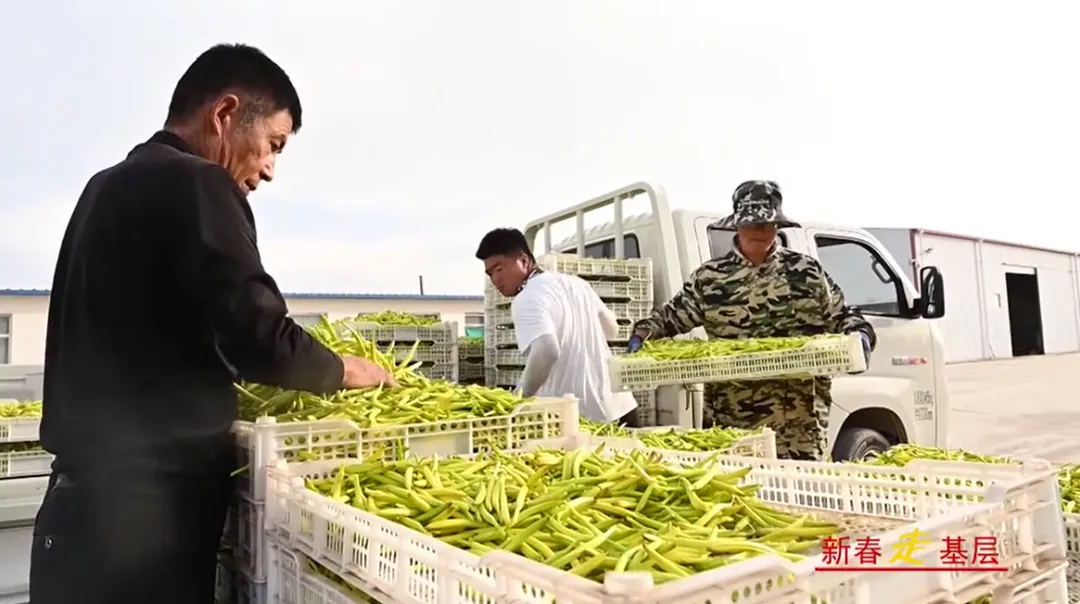 我县一农产品获冬交会金奖