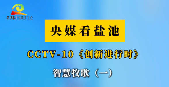 央媒看盐池  CCTV-10《创新进行时》