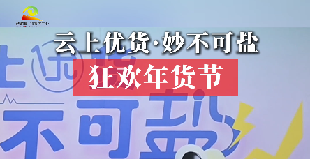 新春走基层 ||  云上优货·妙不可盐 狂欢年货节 2025盐池县网上年货促销活动 ——助农专场直播会 即将开启