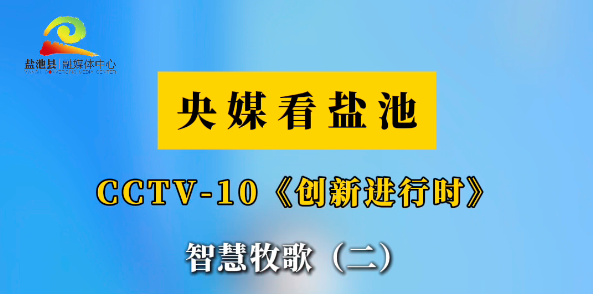 新春走基层 || 央媒看盐池 CCTV-10《创新进行时》 