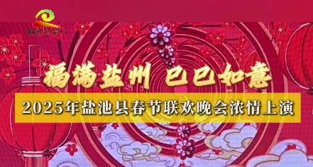 新春走基层 || 福满盐州 巳巳如意 2025年盐池县春节联欢晚会浓情上演