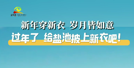 新春走基层 || 新年穿新衣 岁月皆如意 过年了 给盐池披上新衣吧！  