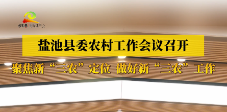 盐池县委农村工作会议召开 聚焦新“三农”定位  做好新“三农”工作
