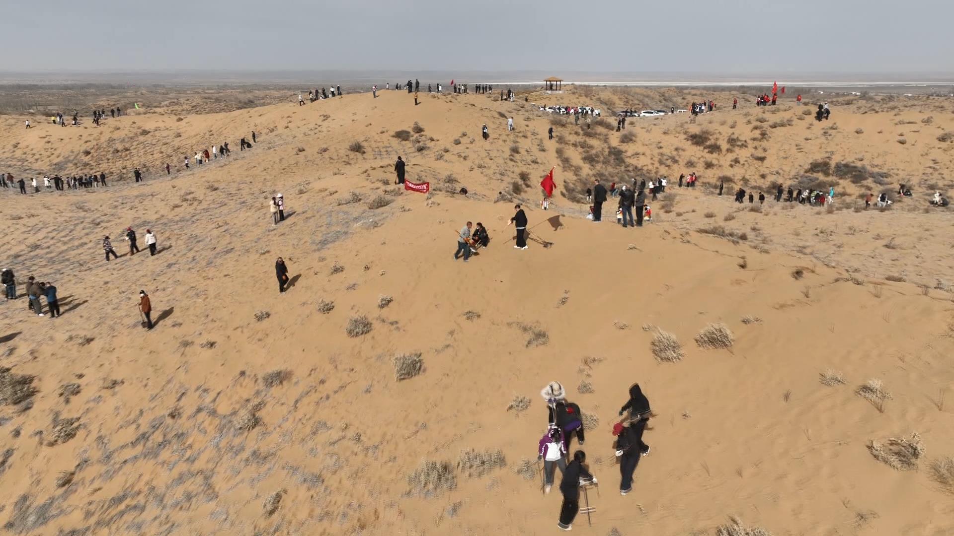 春回大地催新绿  植树造林正当时