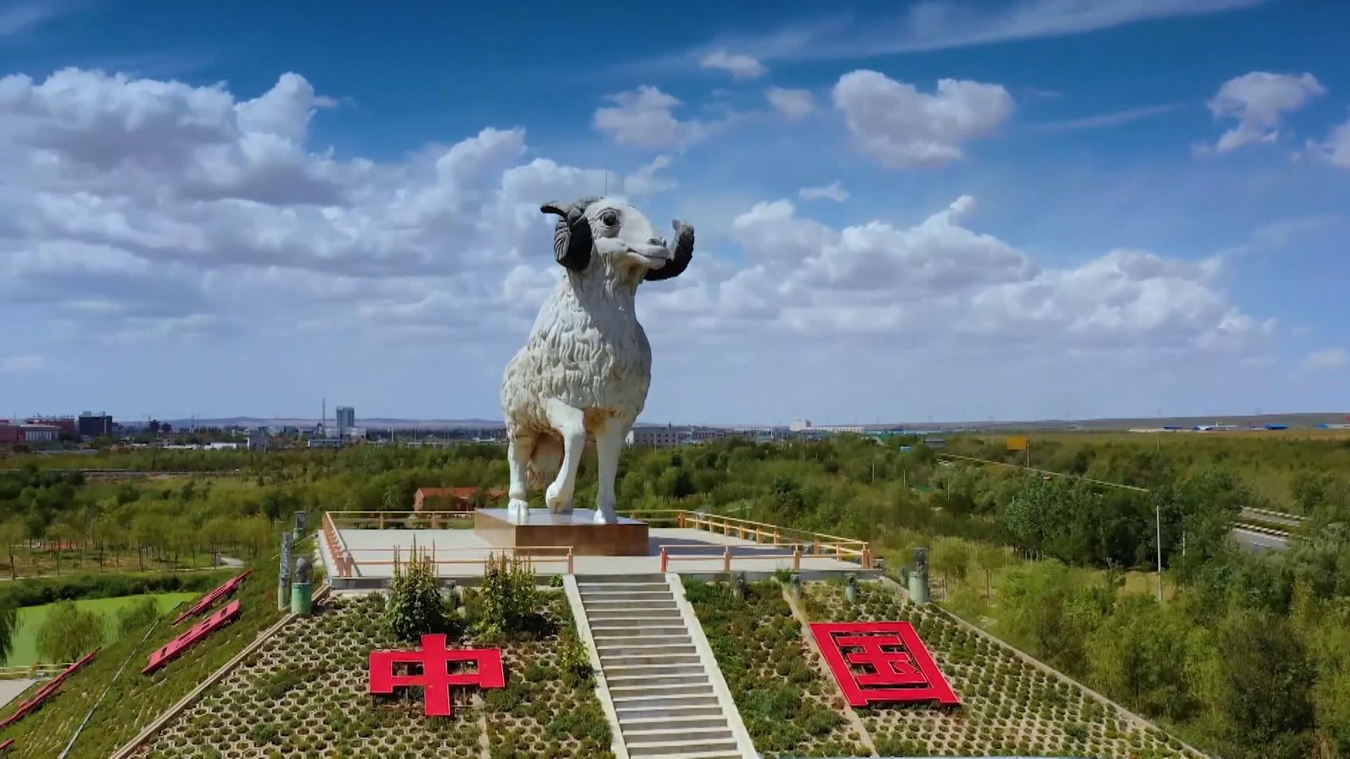 300斤清炖滩羊肉免费吃 盐池滩羊品牌推介会在银川圆满举行