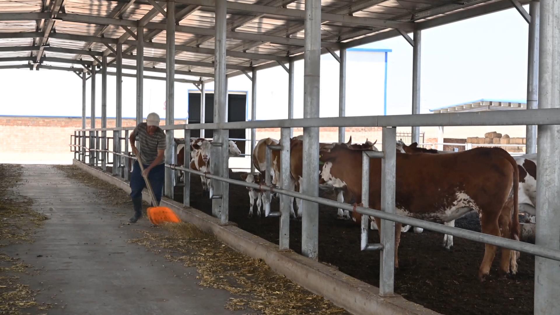 特色产业书写乡村振兴的“青山答卷”