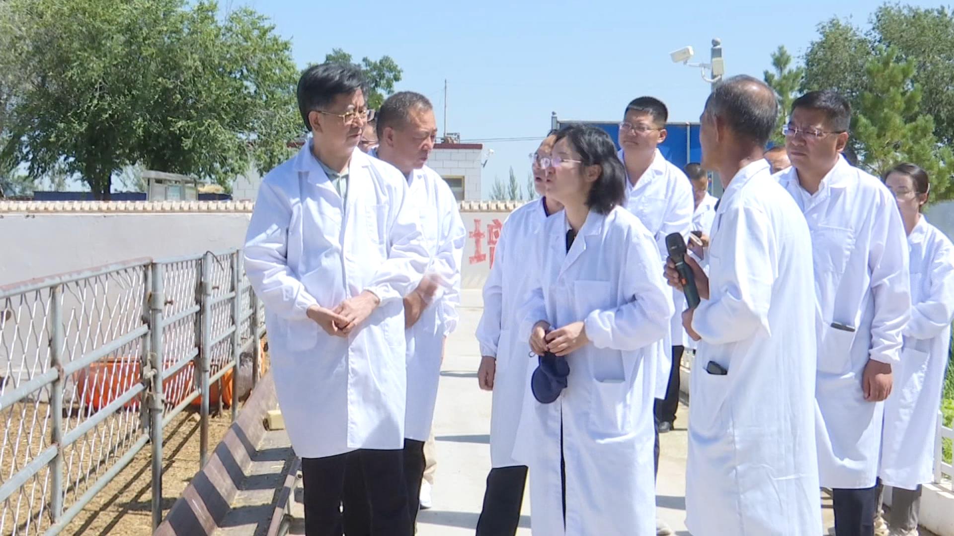 海南省考察组来盐考察滩羊产业发展情况