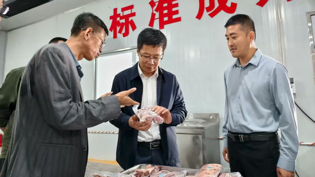 王学冕调研全县滩羊养殖提质增效工作并主持召开座谈会