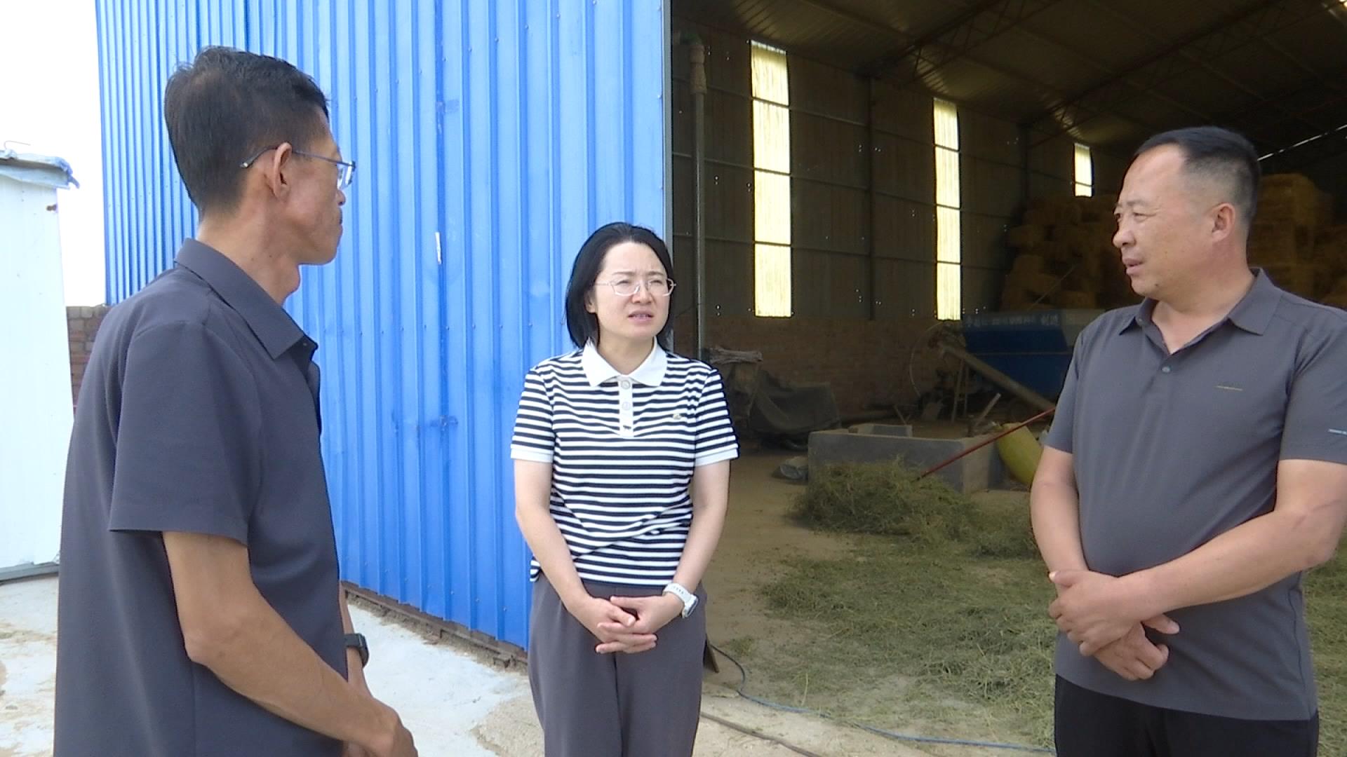 刘娜调研王乐井乡 花马池镇巩固拓展脱贫攻坚成果同乡村振兴有效衔接工作 深入基层听民声 聚焦问题解民忧 扎实推进乡村全面振兴