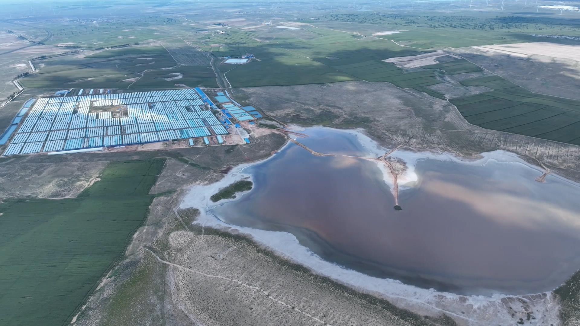 海鲜“安家”盐碱地  昔日荒滩变成“金银滩”