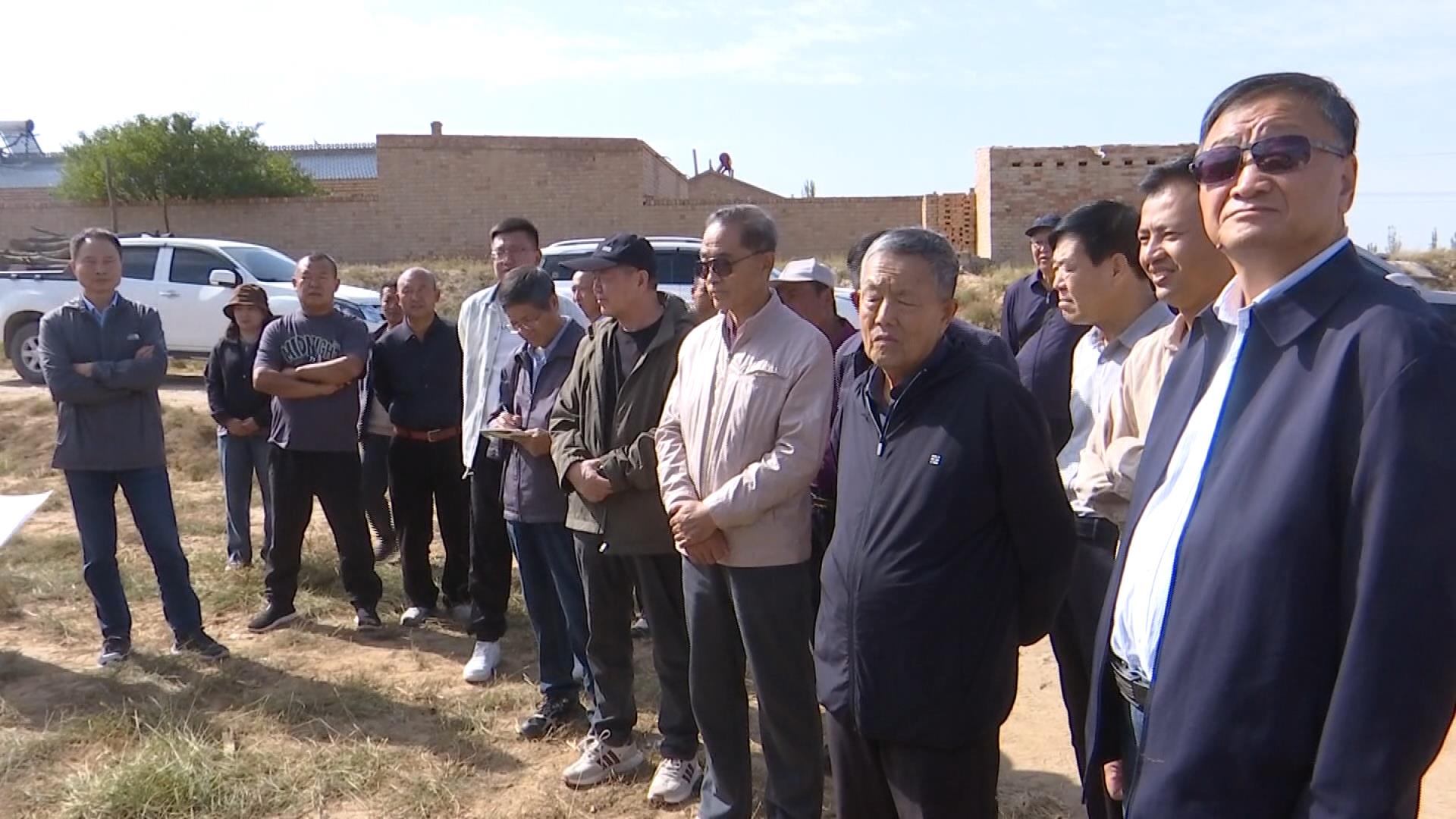 科技赋能现代农业 助推粮食增产农民增收