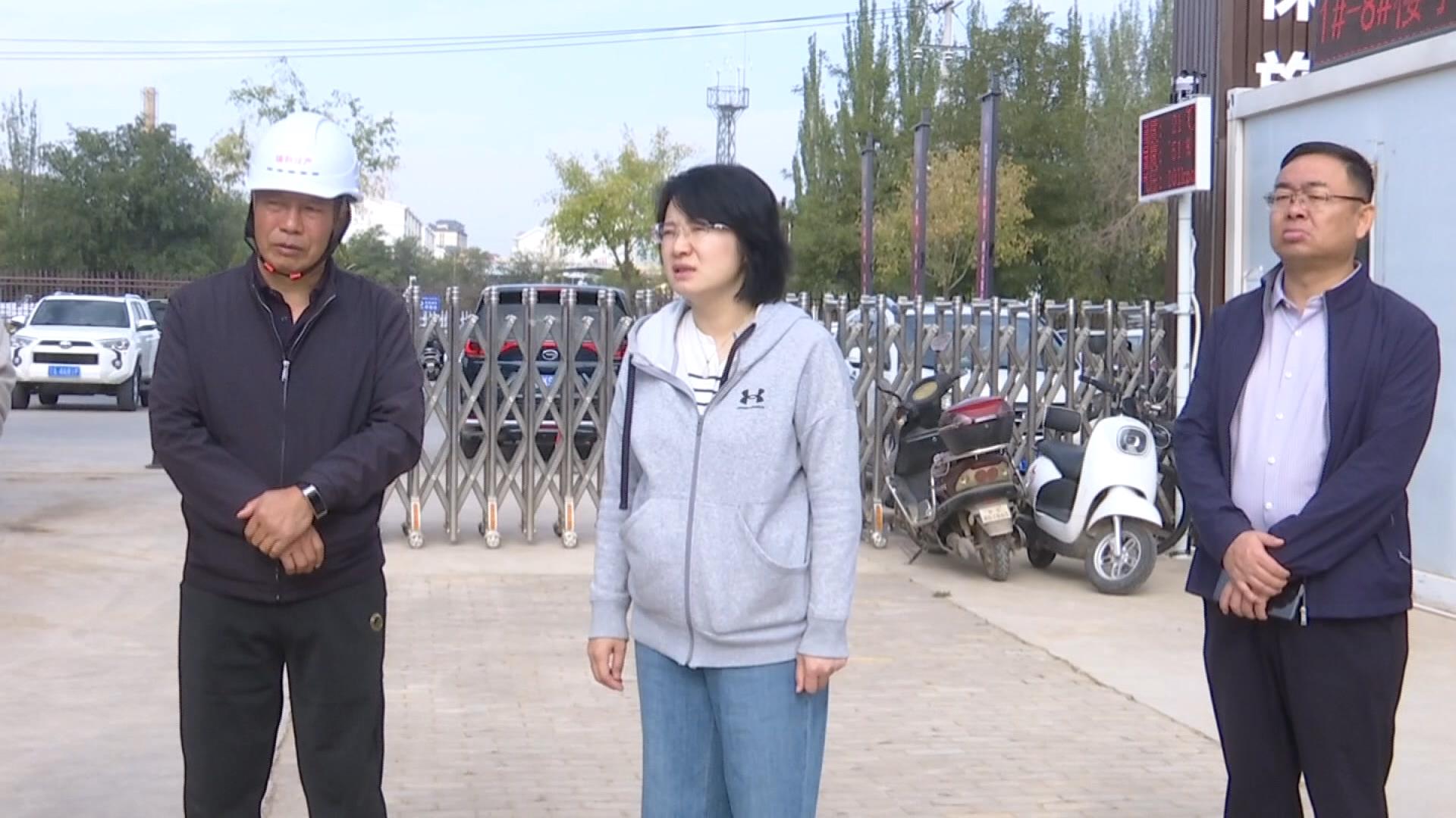 刘娜调研全县重点项目推进情况