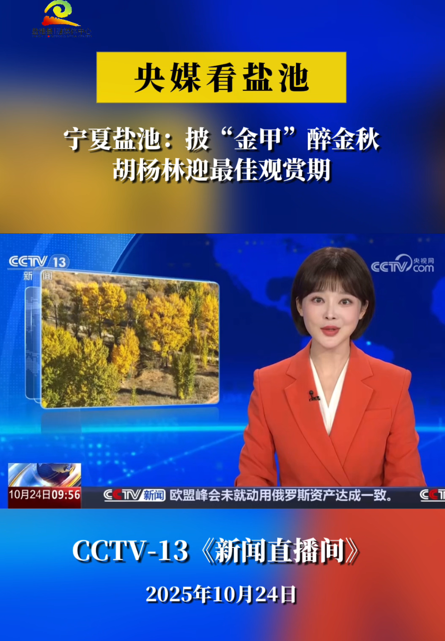央媒看盐池 CCTV-13《新闻直播间》宁夏盐池：披“金甲”醉金秋 胡杨林迎最佳观赏期