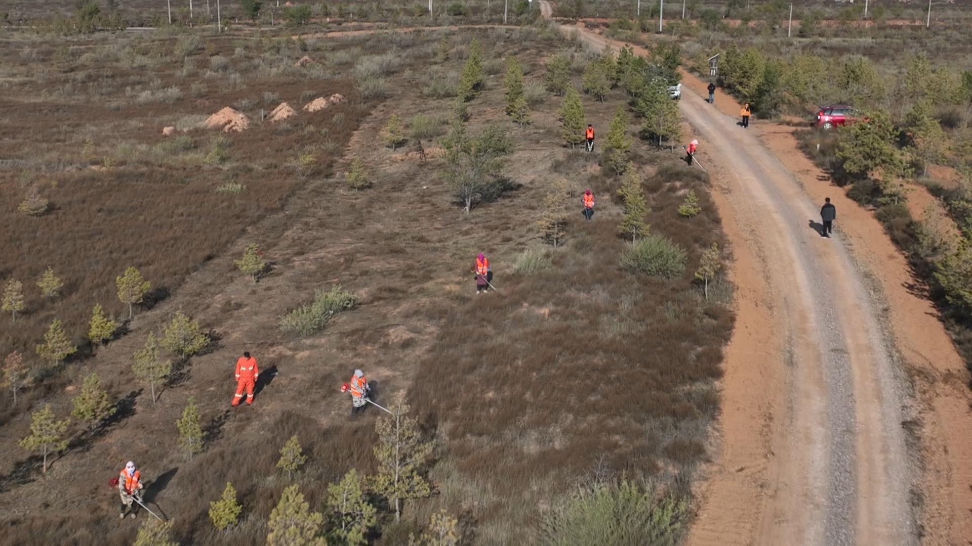 我县多措并举筑牢森林草原“防火墙”