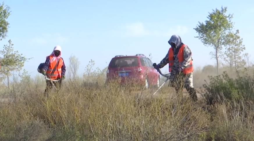 人人讲安全 平安千万家 | 我县多措并举筑牢森林草原“防火墙”