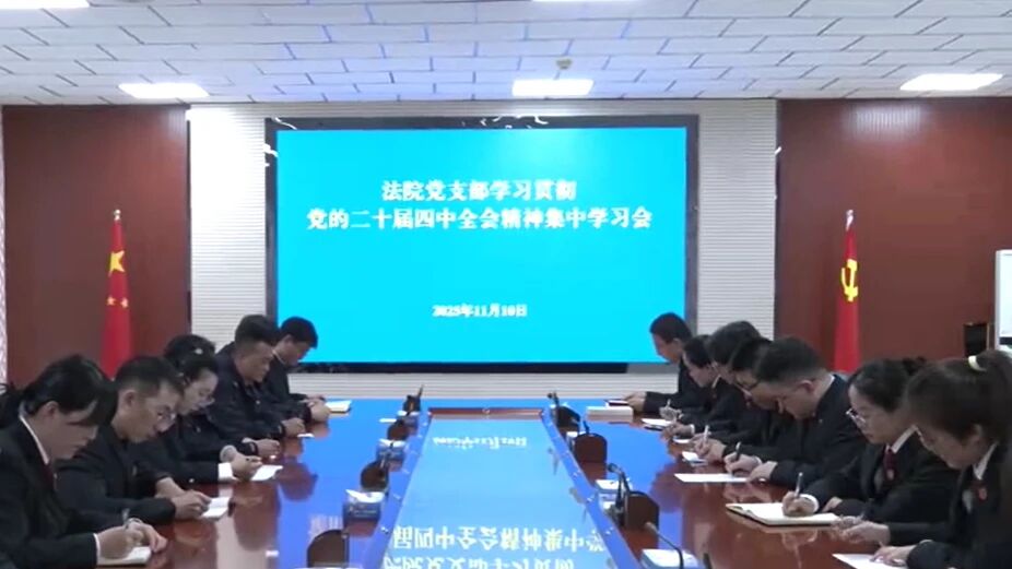 学习贯彻党的二十届四中全会精神 | 县法院：深学细悟全会精神 实干担当司法为民