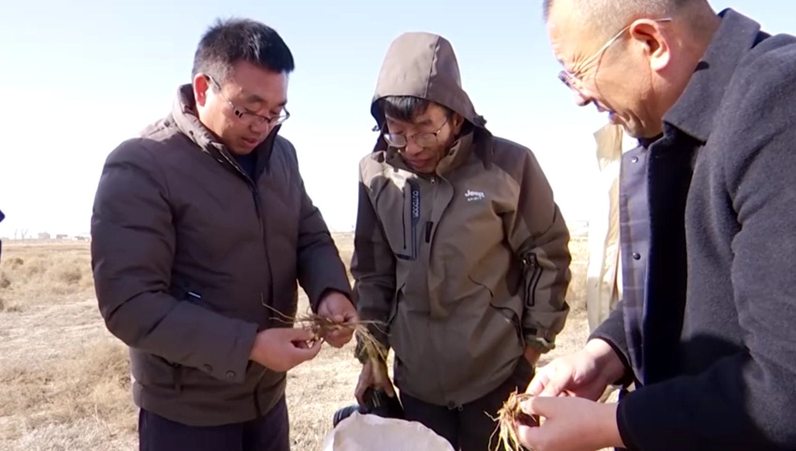 学习自治区党委十三届十一次全会精神 | 高沙窝镇：打造中药材品牌 书写乡村振兴新篇章