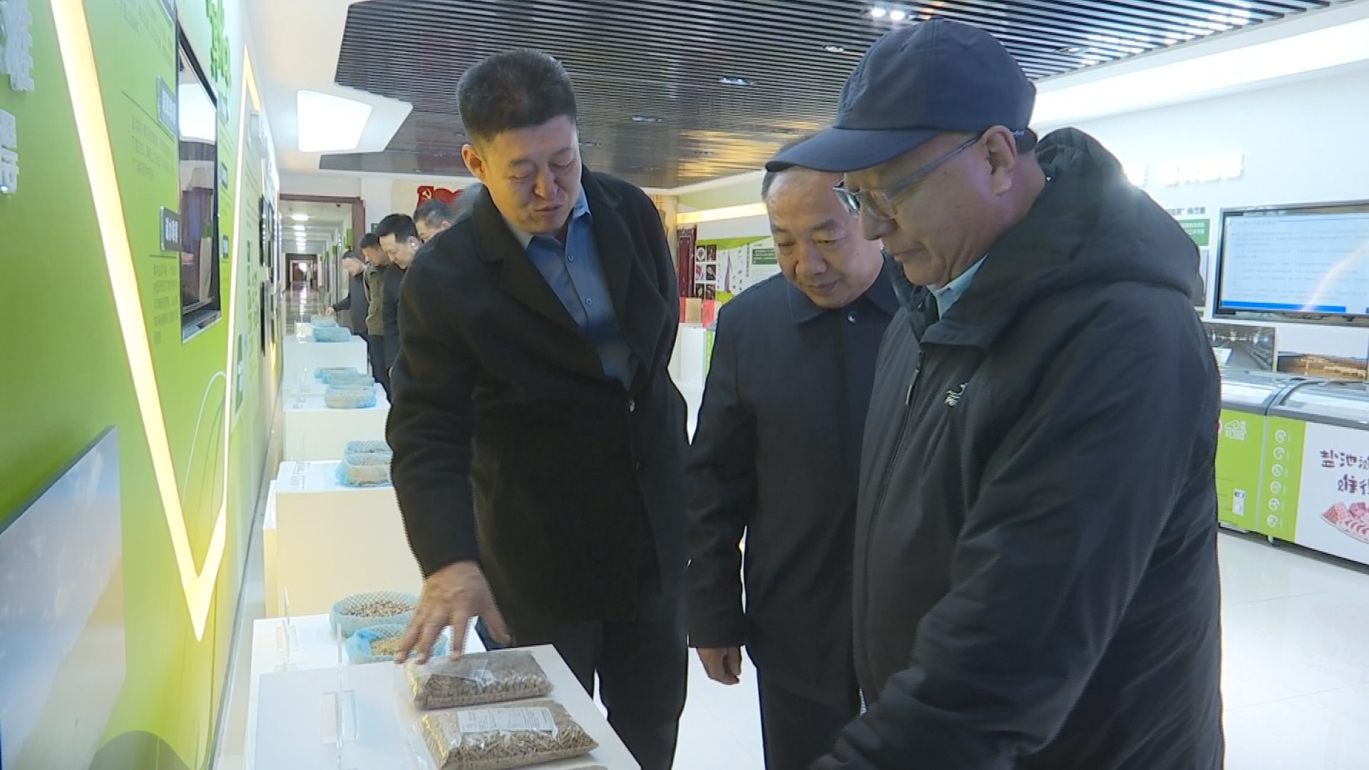 青海省海南藏族自治州人大来盐考察滩羊产业工作