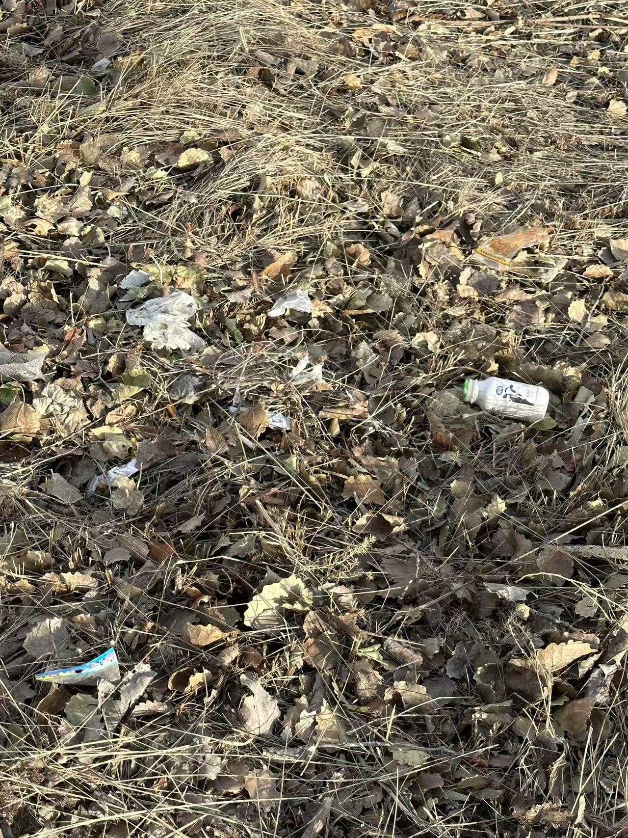 文明旅游反面曝光｜莫让不文明行为破坏美好风景（二）