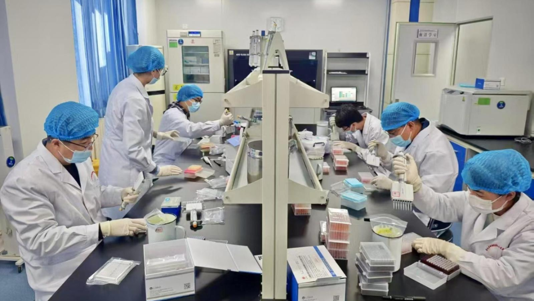 从“急难愁盼”到“马上就办”，盐池县民生实事落地有速度更有温度