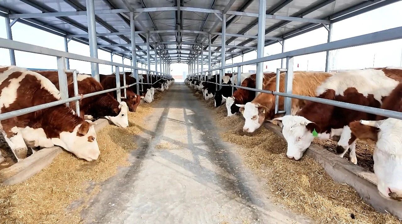 持续巩固脱贫攻坚成果 奋力推进乡村全面振兴 | 青山乡：以特色产业激活乡村振兴&ldquo;一池春水&rdquo;